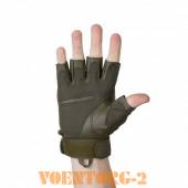 �������� � ������ �������� | ���� olive